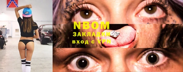 гашик Алексин
