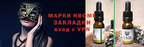 гашик Алексин