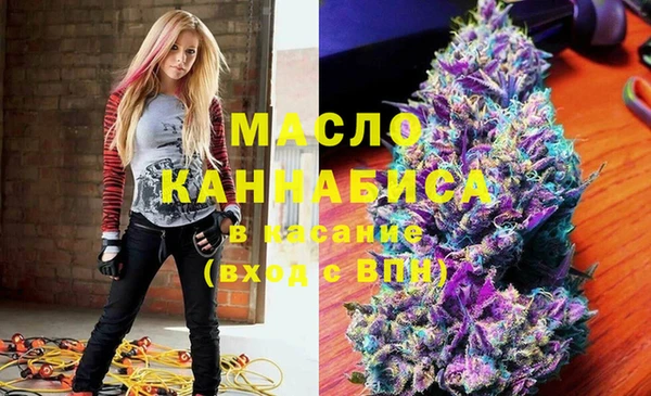 гашик Алексин